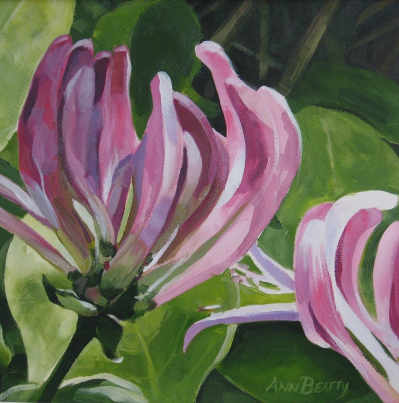 Hibiscus by Ann Beatty